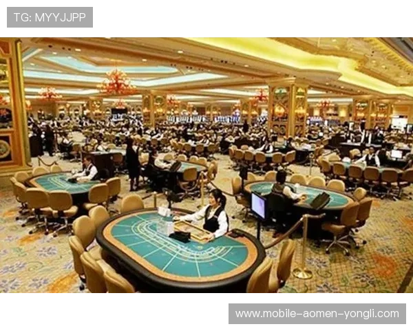 澳门有几个赌场名字分别是哪些以及每个赌场的规模和特色介绍 澳门有几个赌场名字分别是哪些以及每个赌场的规模和特色介绍