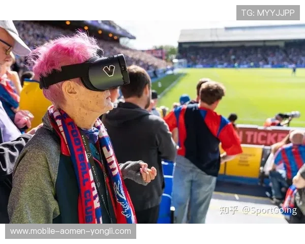水晶宫主场在哪个区域,帮助球迷快速找到比赛现场位置