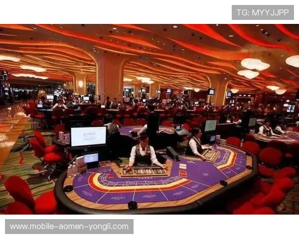 澳门十大娱乐场全方位介绍，满足不同玩家的娱乐需求与高端体验需求
