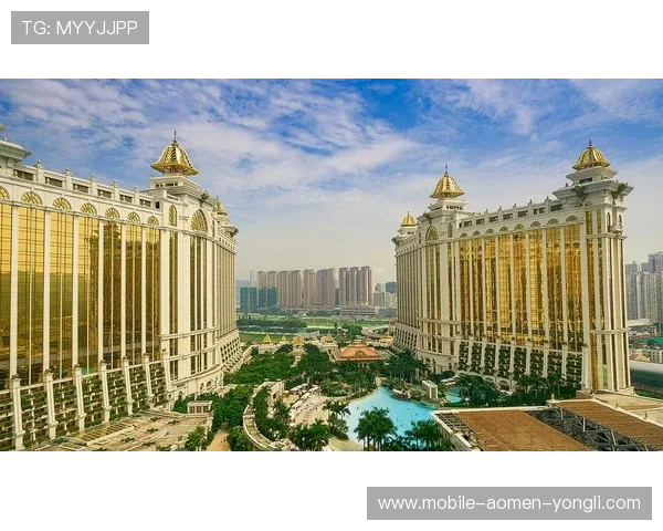 澳门百老汇手机版APP常见问题与客服支持，解决你的使用疑问与技术难题